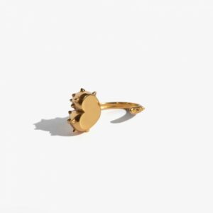 Ajouté à votre wishlist