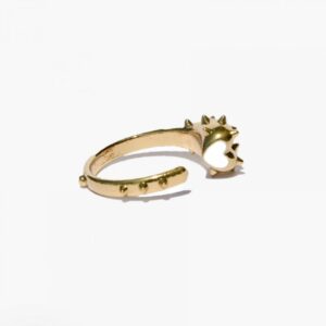 Ajouté à votre wishlist