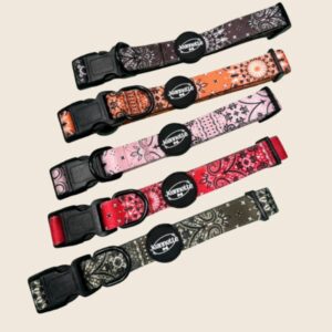 Ajouté à votre wishlist